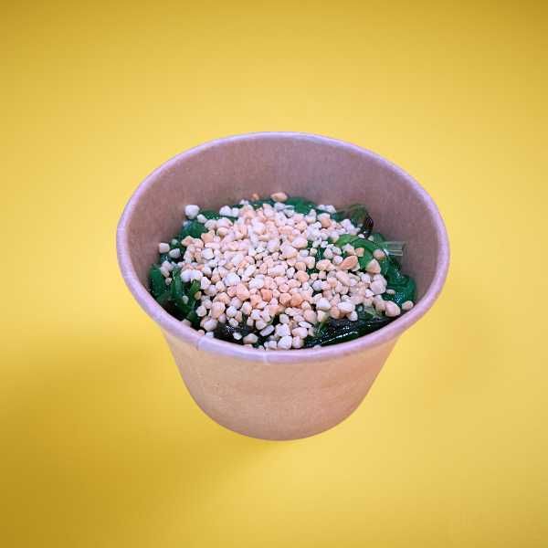 Salada de Wakame e Amendoim