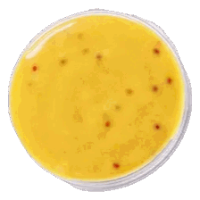 Honey Mustard